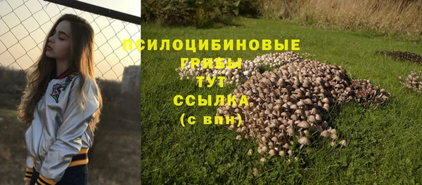 MESCALINE Алзамай