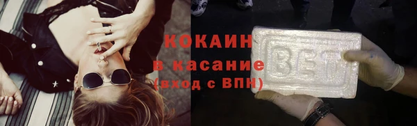 сатива Корсаков
