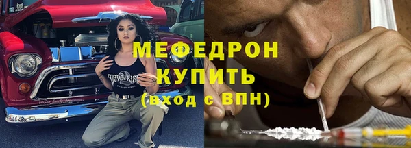 индика Горнозаводск