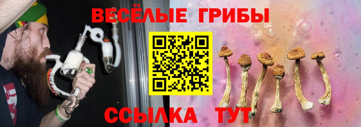 Псилоцибиновые грибы мухоморы Лысьва